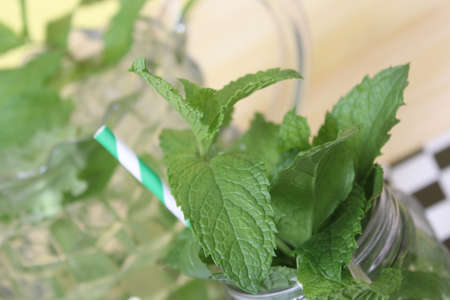 Fresh Mojito Cocktail on Checkered Table