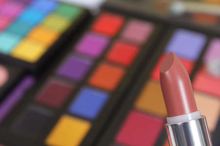 Brightly Colored Cosmetic Pigment Palettesの写真素材