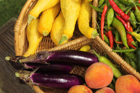 Organic Summer Vegetable Harvest on Table Outdoors