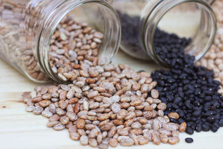 Black-eyed Peas, Chick Peas, Black Beans and Pinto Beans Spilled in Kitchen
