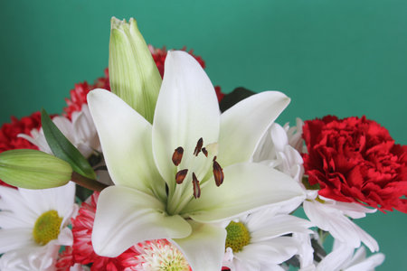 White Easter Lily Close up Shallow DOFの写真素材