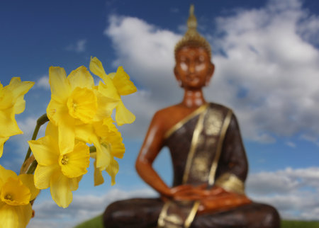 Yellow Daffodils With Buddha Statue in Background Shallow DOFの写真素材