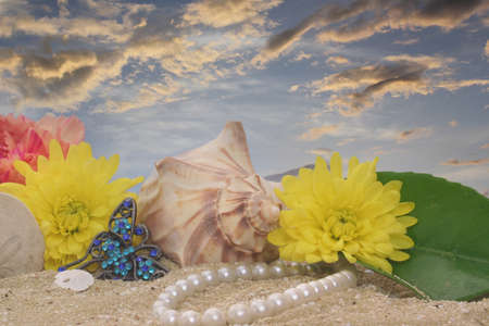 Flowers and Sea Shells on Sand With Sunset Backgroundの写真素材