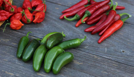 Peppers outdoors at rural farmers market, Jalapeno, Cayenne and Bhut Jolokia