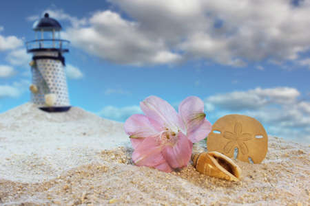 Sea Shells and Flower on Beach With Lighthouse in Background Shallow DOFの写真素材