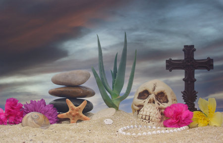 Aloe Plant with Flowers and Skull on Sand With Skyの写真素材