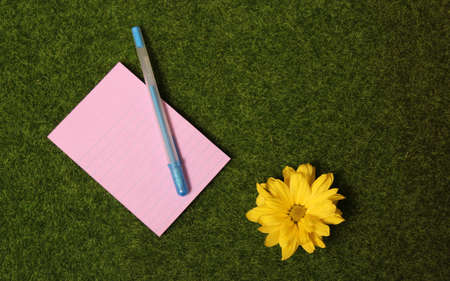 Blank Note paper on Artificial Green Grass Background With Colorful Flowers