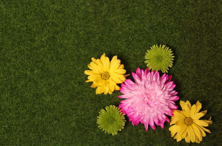 Colorful Spring Flowers on Artificial Green Grass Top View