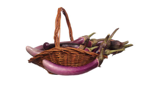 Basket of Fresh Eggplants Isolated on White backgroundの写真素材