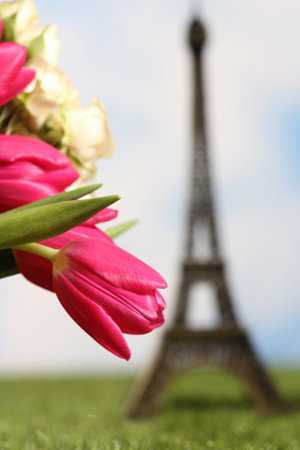 Pink Tulips Close up With Eiffel Tower in Backgroundの写真素材