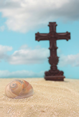 Sea Shells With Cross on Sand, Shallow DOF Focus on Shellの写真素材