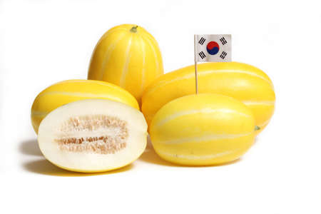 Summer Melon Harvest - Ginkaku Korean Melons - Cucumis melo var. makuwa Isolated on Whiteの写真素材