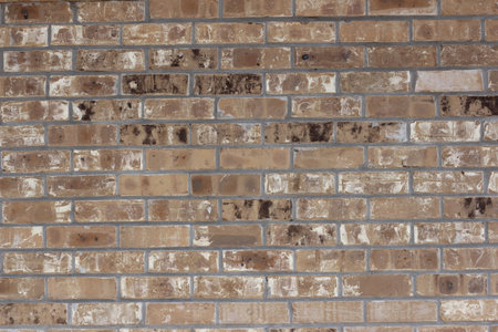 Closeup Building Detail Historical Brick Wall Located in Rural Texas