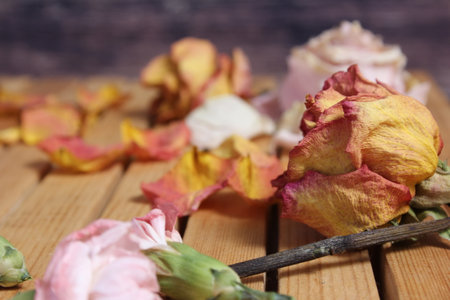 Old Flowers Drying on Wooden Table. Zinnia With Roses and Carnationsの写真素材