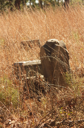 Abandoned Cemetery Located in Rural East Texas Barron Cemeteryの写真素材