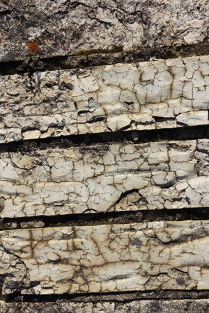 Close-up Building Detail Historical Wall Located in Rural Texasの写真素材