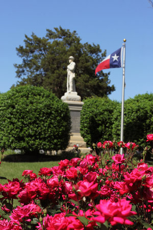 Roses at Historic Oakwood Cemetery Located in Tyler Texasの写真素材
