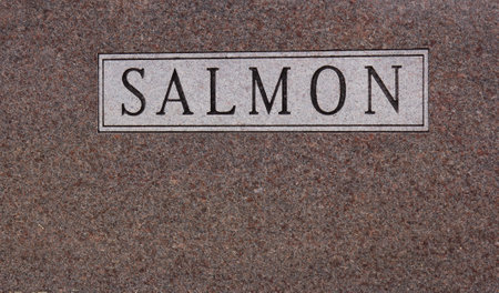 Salmon Engraved on Old Granite Headstone Death Conceptの写真素材