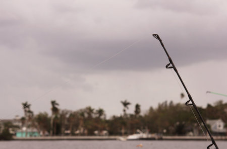 Buildings With Fishing Line along Manatee River in Bradenton Floridaの写真素材