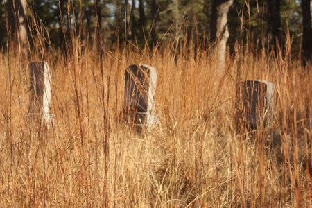 Abandoned Cemetery Located in Rural East Texas Barron Cemeteryの写真素材