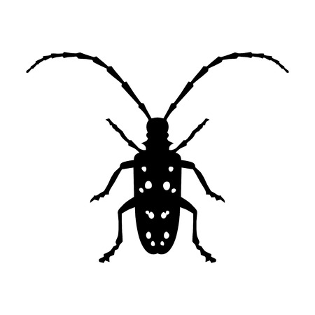 Asian Longhorned Beetle insect flat icon for nature apps and websitesのイラスト素材