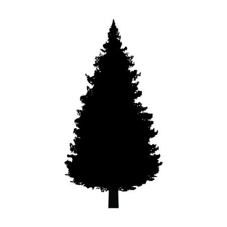 Evergreen conifer / pine tree flat icon for apps and websitesのイラスト素材