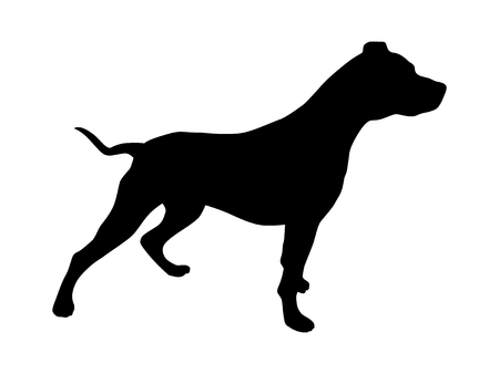 Pet pitbull / pit bull terrier dog or canine flat icon for animal apps and websitesのイラスト素材