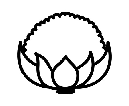 Cauliflower vegetable with leaves line art vector icon for food apps and websitesのイラスト素材