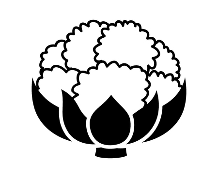 Cauliflower vegetable with leaves flat vector icon for food apps and websitesのイラスト素材