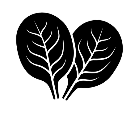 Two spinach vegetable leaves flat vector icon for food apps and websitesのイラスト素材