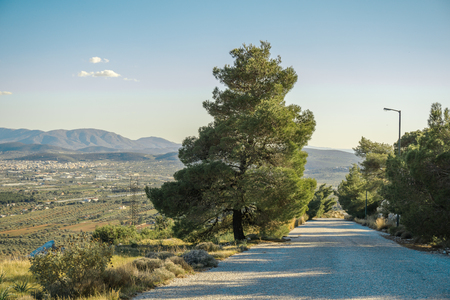 Sky, road, tree, and beautiful viewsの写真素材