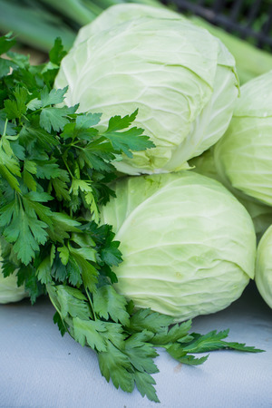 Fresh cabbage, parsley and dill on sale in the shopの写真素材