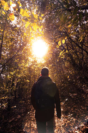 Man hiking in a thick forest with the rays of light in front of him