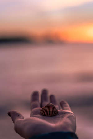 Open hand holding a shell with the sunset in the backgroundの写真素材