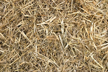 Close-up of hay.の写真素材