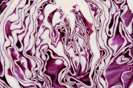 Close-up of sliced red cabbage. Isolated on white.の写真素材