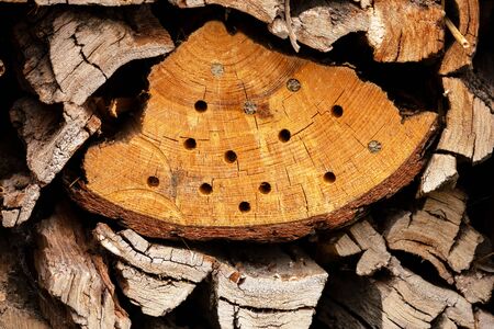 Cross folding wood with holesの写真素材