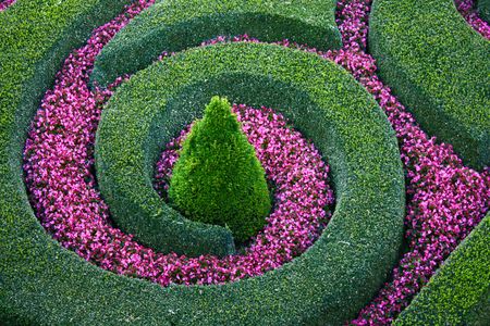 fancy flowerbedの写真素材