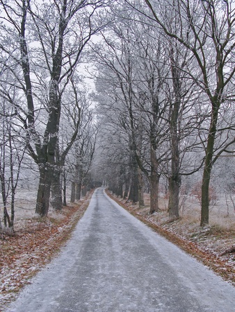 winter roadの写真素材