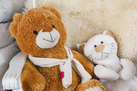 Plush Stuffed Animals â Teddy Bear and Catの写真素材