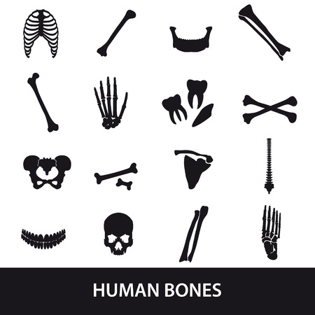 human bones set of iconsのイラスト素材