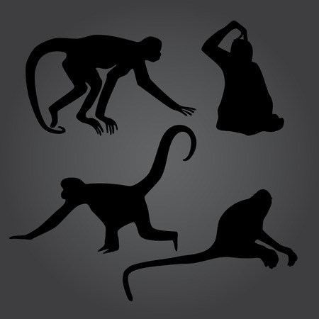 monkey shadows silhouette setのイラスト素材