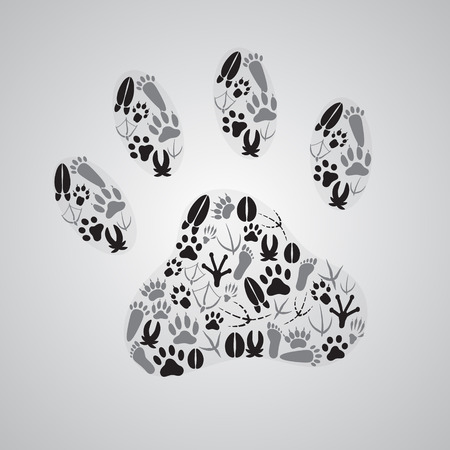 various animal footprints eps10のイラスト素材