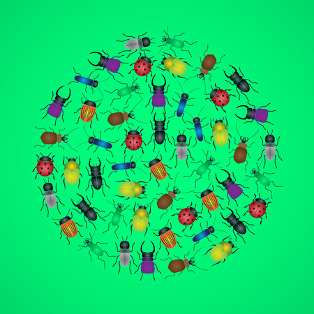 color bugs and beetles icons in circle eps10のイラスト素材