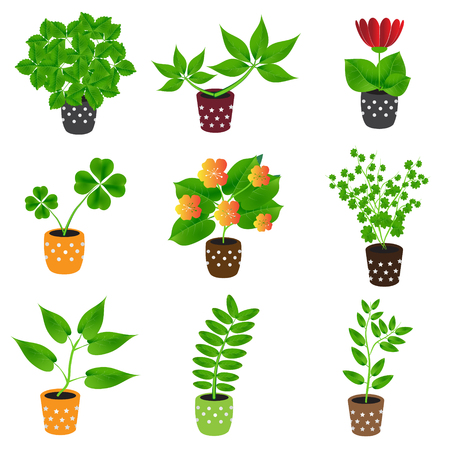 home houseplants and flowers in pot colorful iconsのイラスト素材