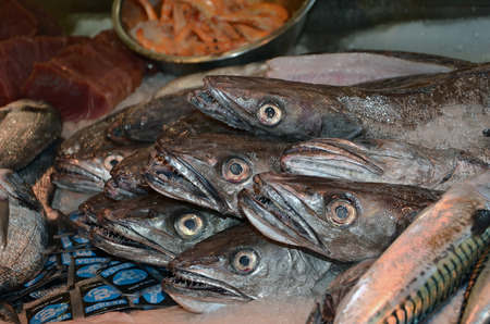 fresh mackerel fish market detail photography of stand