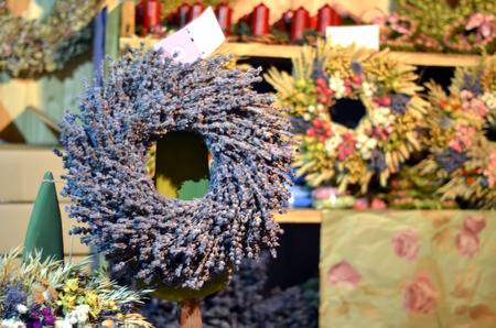 thyme herbs wheel and other herbs scent detail photographyの写真素材