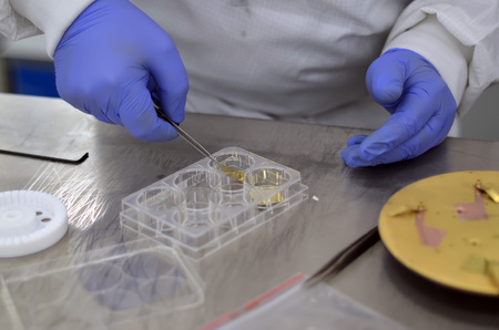 man in laboratory with tweezers and gold plated material