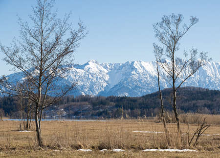 landscape moss and Bavarian mountains