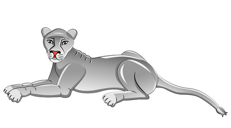 White Lioness. Isolated animal. Vector illustration.のイラスト素材